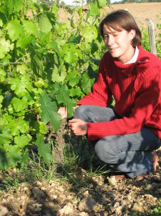 Vineyard monitoring by Anne-Cécile Roy